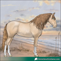 Horse Color:Smoky Black Pearl 