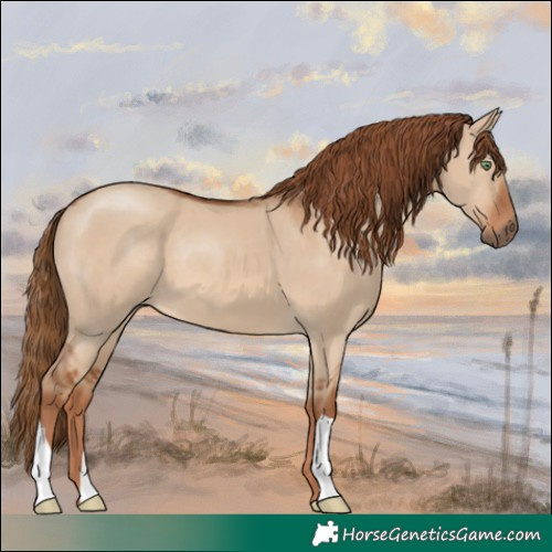 Horse Color:Red Dun