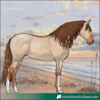 Horse Color:Red Dun 