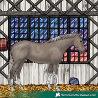 Horse Color:Silver Grullo Tobiano Rabicano 