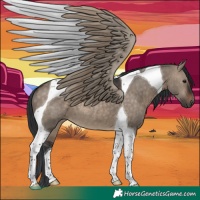 Horse Color:Brown Dun Tobiano 