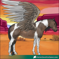 Horse Color:Brown Dun Tobiano