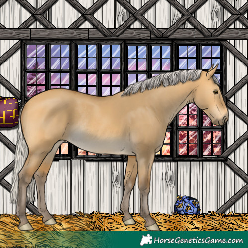 Horse Color:Silver Buckskin Dun Rabicano 