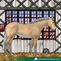 Horse Color:Silver Buckskin Dun Rabicano