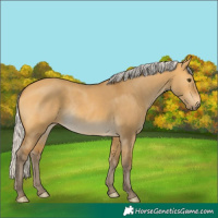 Horse Color:Silver Buckskin Dun Rabicano 