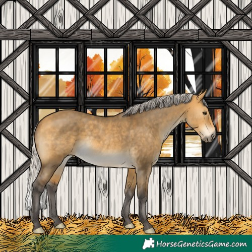 Horse Color:Silver Buckskin Dun Rabicano 