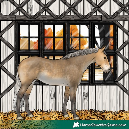 Horse Color:Silver Buckskin Dun Rabicano 