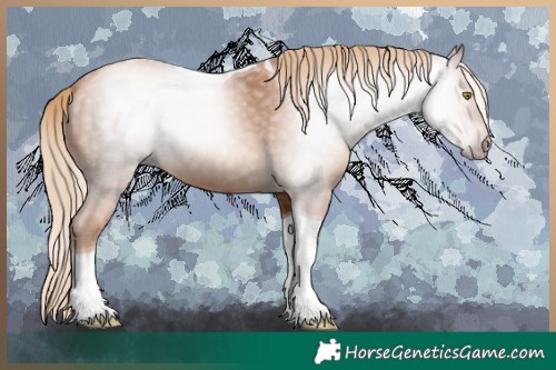 Horse Color:Gray Gold Champagne Tobiano 