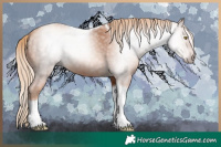 Horse Color:Gray Gold Champagne Tobiano