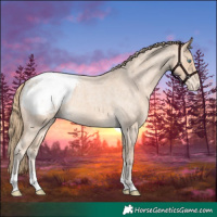 Horse Color:Perlino Roan Snowcap 