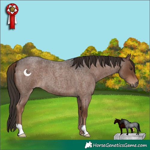 Horse Color:Liver Red Roan 