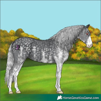 Horse Color:White Spotted Silver Black Chinchilla 