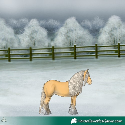 Horse Color:Palomino Tobiano Varnish