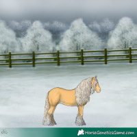 Horse Color:Palomino Tobiano Varnish 