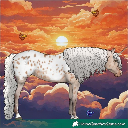 Horse Color:Silver Bay Dun Appaloosa