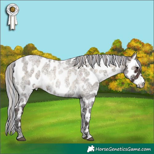 Horse Color:Painted White Spotted Silver Brown Ice Roan Onyx Leopard Rabicano 