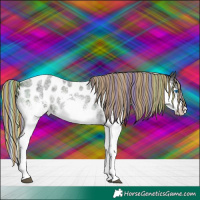Horse Color:Painted White Spotted Midnight Liver Red Ice Roan Splash Appaloosa Rabicano 