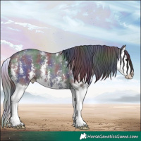 Horse Color:Nacre Black Sabino Splash 