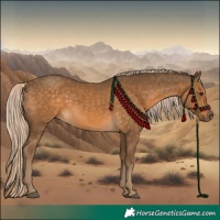 Horse Color:Chocolate Palomino 