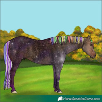 Horse Color:Void Painted Silver Brown Roan Dun 