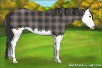 Horse Color:Plaid  Black Splash 