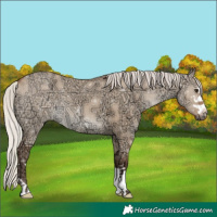 Horse Color:Silver Brown Ice Dun 