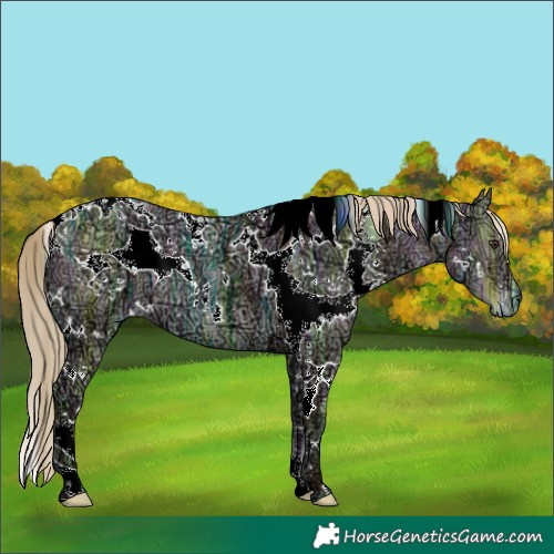 Horse Color:White Spotted Liver Red Dun Ice 