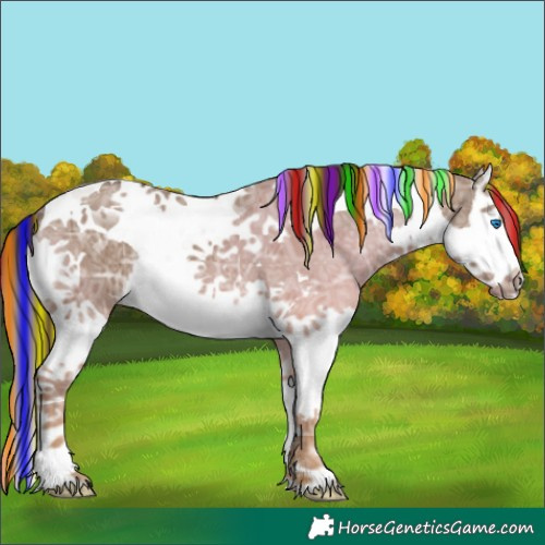 Horse Color:Painted Liver Red Dun Ice Splash Tobiano