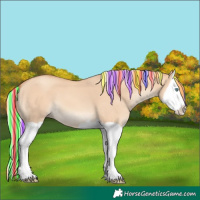 Horse Color:Painted Silver Classic Champagne Dun Splash 