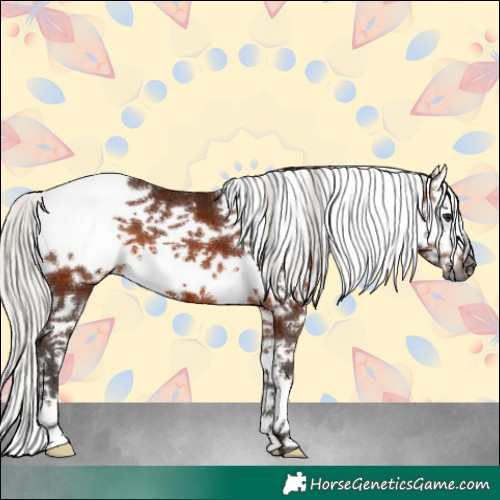Horse Color:Gray White Spotted Silver Bay Splash Tobiano 