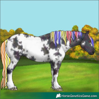 Horse Color:Painted Watercolor White Spotted Midnight Silver Brown Chinchilla Ice Dun 
