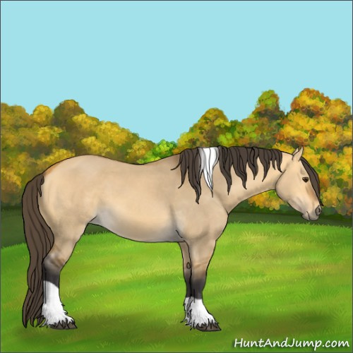 Horse Color:Buckskin Dun Tobiano