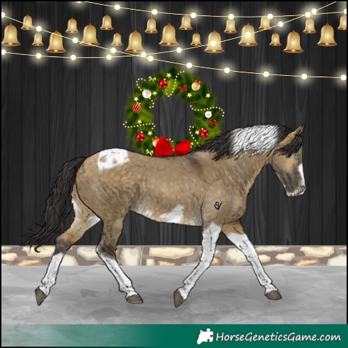 Horse Color:Buckskin Dun Tobiano Frame 