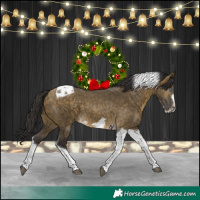 Horse Color:Buckskin Dun Tobiano Frame 