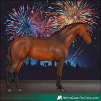 Horse Color:Bay 
