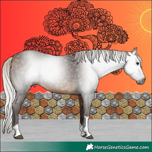 Horse Color:Gray Silver Buckskin Tobiano 