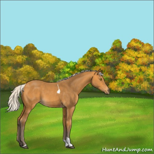 Horse Color:Silver Buckskin Tobiano 