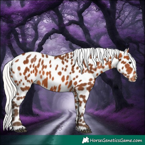 Horse Color:Silver Bay Near Leopard 