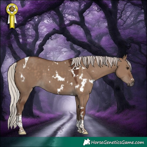 Horse Color:White Spotted Silver Grullo Tobiano 