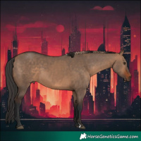 Horse Color:Liver Red Dun and Bay Dun