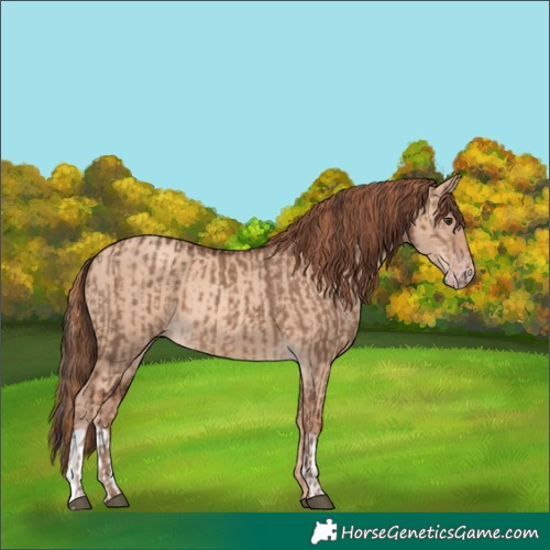 Horse Color:Liver Red Dun  and Gold Champagne Dun 