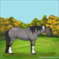Horse Color:Grullo Roan Tobiano
