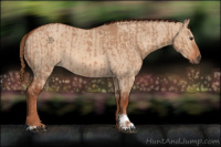 Horse Color:Red Dun and Red Dun