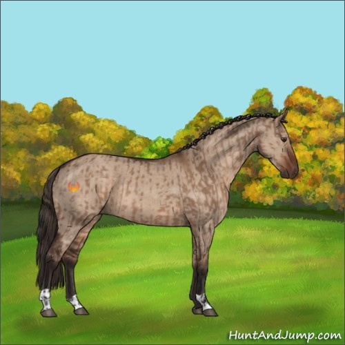 Horse Color:Liver Red Dun  and Liver Red Dun 