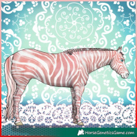 Horse Color:Cremello Tobiano 