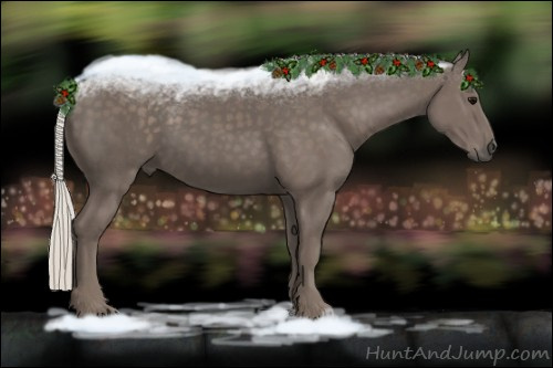 Horse Color:Silver Black