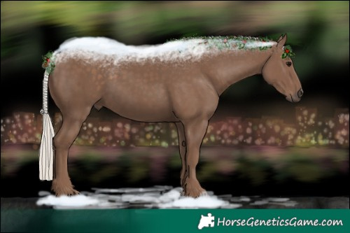 Horse Color:Silver Black 