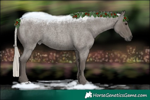 Horse Color:Silver Blue Roan 