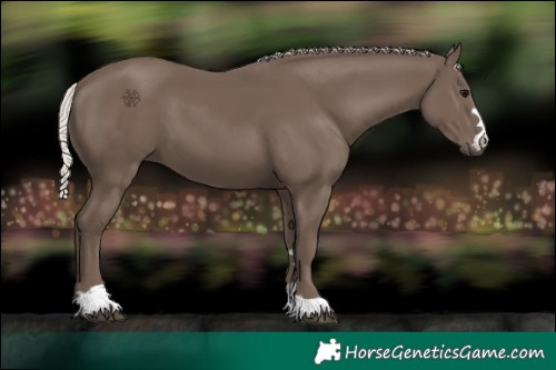 Horse Color:Silver Black 