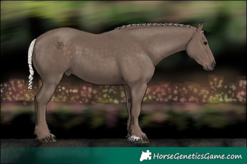 Horse Color:Silver Black